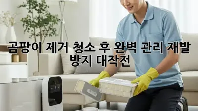 곰팡이 제거 청소 후 완벽 관리: 재발 방지 대작전!