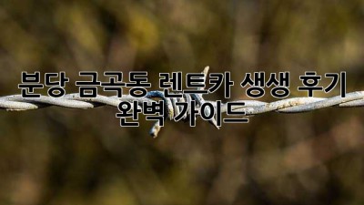 분당 금곡동 렌트카 생생 후기 🚗💨 완벽 가이드!